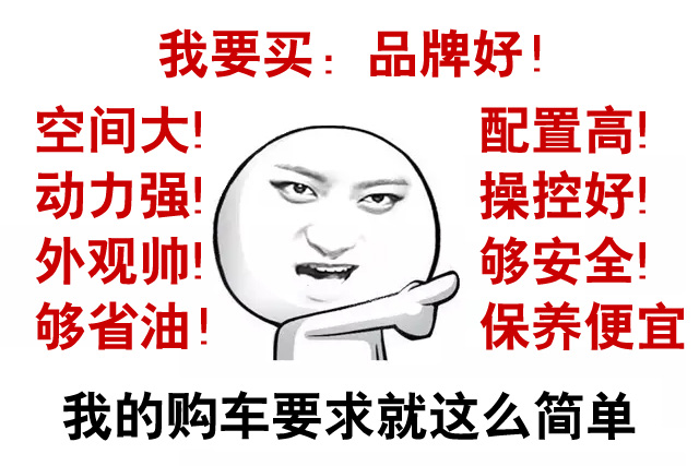 買車完美主義型