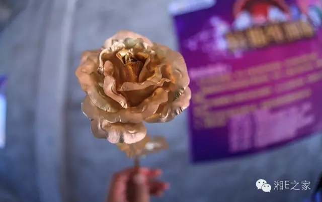 天嬌汽車文化節(jié)-一個(gè)可以吃喝玩樂(lè)的汽車節(jié)！