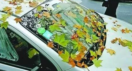 秋季檢查這7 個(gè)部件讓愛(ài)車告別8個(gè)夏季“后遺癥” 秋季檢查這7 個(gè)部件讓愛(ài)車告別8個(gè)夏季“后遺癥”